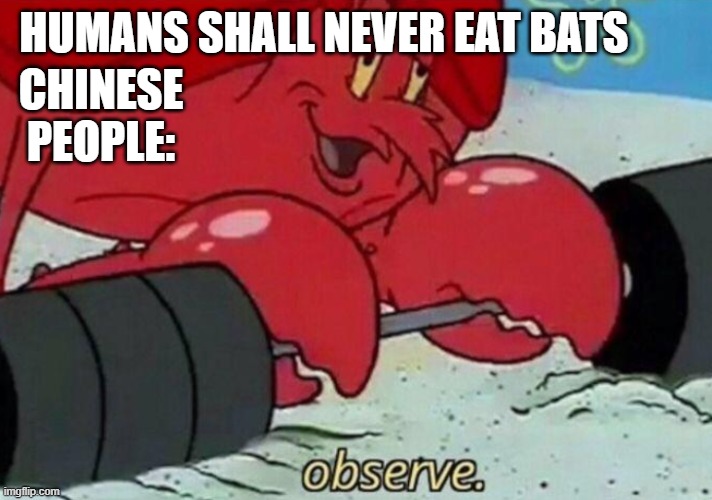 Observe spongebob | HUMANS SHALL NEVER EAT BATS CHINESE PEOPLE: | image tagged in observe spongebob | made w/ Imgflip meme maker