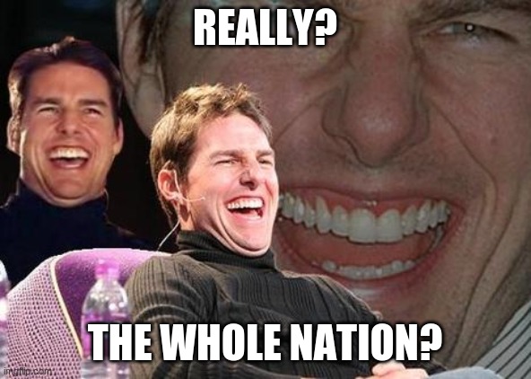 Tom Cruise laugh | REALLY? THE WHOLE NATION? | image tagged in tom cruise laugh | made w/ Imgflip meme maker