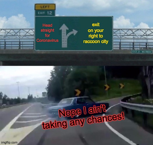 Pick one if you dare | Head straight for Coronavirus; exit on your right to raccoon city; Nope I ain't taking any chances! | image tagged in memes,left exit 12 off ramp | made w/ Imgflip meme maker