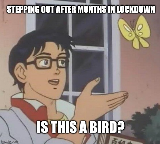 Is This A Pigeon Meme | STEPPING OUT AFTER MONTHS IN LOCKDOWN; IS THIS A BIRD? | image tagged in memes,is this a pigeon | made w/ Imgflip meme maker