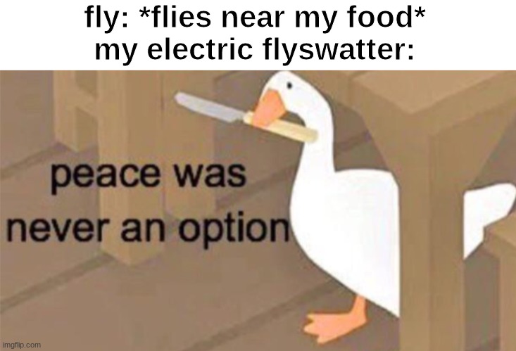 rip | fly: *flies near my food*
my electric flyswatter: | image tagged in untitled goose peace was never an option | made w/ Imgflip meme maker
