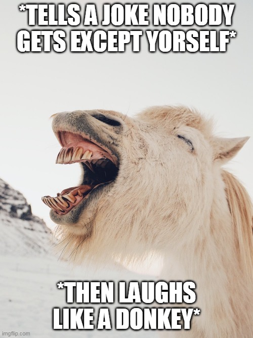 Laughing horse | *TELLS A JOKE NOBODY GETS EXCEPT YORSELF*; *THEN LAUGHS LIKE A DONKEY* | image tagged in lol,laugh,horse,funny,true | made w/ Imgflip meme maker