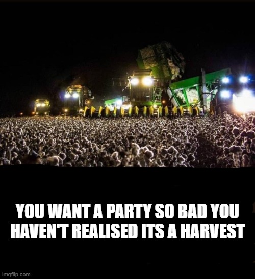 Party Withdrawl | YOU WANT A PARTY SO BAD YOU HAVEN'T REALISED ITS A HARVEST | image tagged in party,festival,harvest | made w/ Imgflip meme maker
