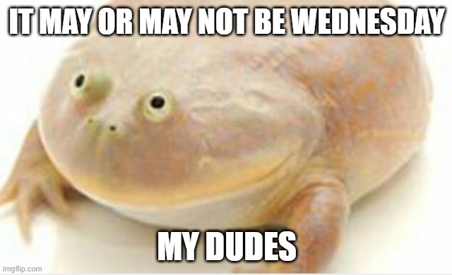 It's Wednesday my dudes |  IT MAY OR MAY NOT BE WEDNESDAY; MY DUDES | image tagged in it's wednesday my dudes,AdviceAnimals | made w/ Imgflip meme maker