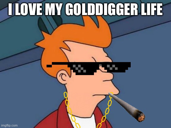 Futurama Fry Meme | I LOVE MY GOLDDIGGER LIFE | image tagged in memes,futurama fry | made w/ Imgflip meme maker