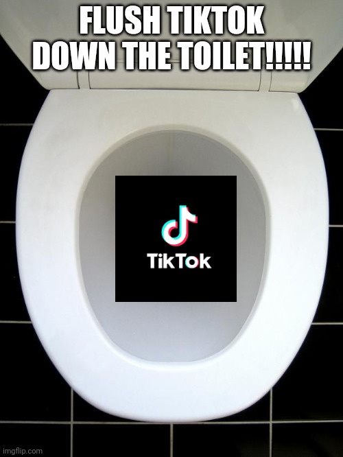 TOILET | FLUSH TIKTOK DOWN THE TOILET!!!!! | image tagged in toilet | made w/ Imgflip meme maker