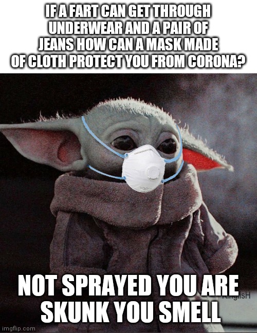 Coronavirus Baby Yoda | IF A FART CAN GET THROUGH UNDERWEAR AND A PAIR OF JEANS HOW CAN A MASK MADE OF CLOTH PROTECT YOU FROM CORONA? NOT SPRAYED YOU ARE
 SKUNK YOU SMELL | image tagged in coronavirus baby yoda | made w/ Imgflip meme maker