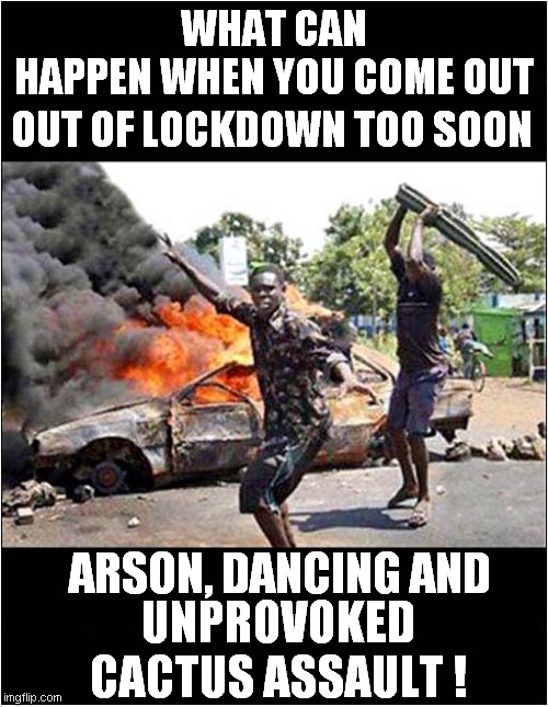 Beware of Lifting Lockdown Too Soon | WHAT CAN HAPPEN WHEN YOU COME OUT; OUT OF LOCKDOWN TOO SOON; ARSON, DANCING AND; UNPROVOKED CACTUS ASSAULT ! | image tagged in fun,lockdown,chaos | made w/ Imgflip meme maker