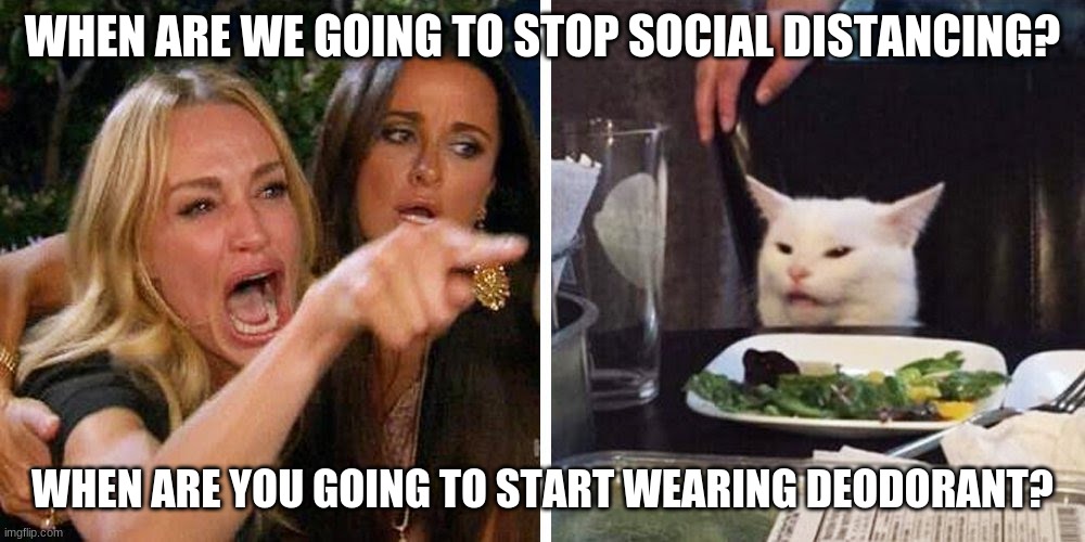 Smudge the cat | WHEN ARE WE GOING TO STOP SOCIAL DISTANCING? WHEN ARE YOU GOING TO START WEARING DEODORANT? | image tagged in smudge the cat | made w/ Imgflip meme maker