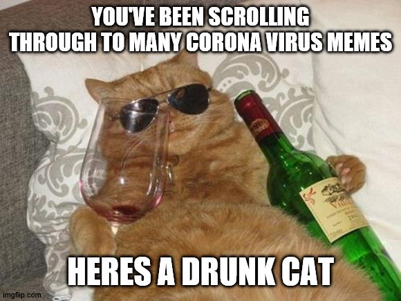 Funny Cat Birthday | YOU'VE BEEN SCROLLING THROUGH TO MANY CORONA VIRUS MEMES; HERES A DRUNK CAT | image tagged in funny cat birthday | made w/ Imgflip meme maker
