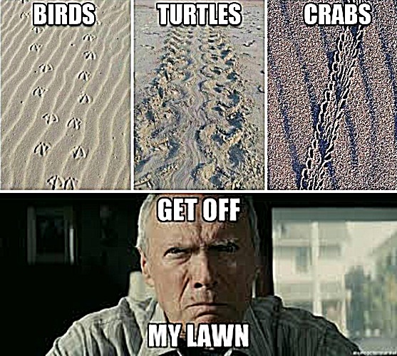 image tagged in myyyyyyylawn | made w/ Imgflip meme maker