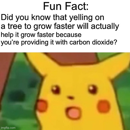 Surprised Pikachu Meme | Fun Fact:; Did you know that yelling on a tree to grow faster will actually; help it grow faster because you’re providing it with carbon dioxide? | image tagged in memes,surprised pikachu | made w/ Imgflip meme maker