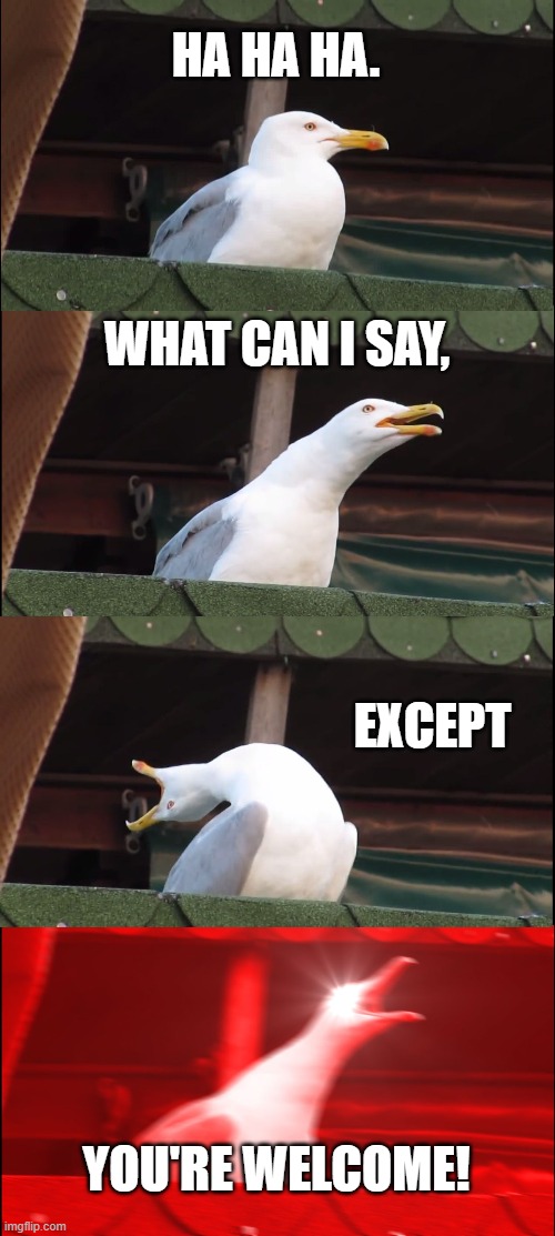 Inhaling Seagull Meme | HA HA HA. WHAT CAN I SAY, EXCEPT; YOU'RE WELCOME! | image tagged in memes,inhaling seagull | made w/ Imgflip meme maker
