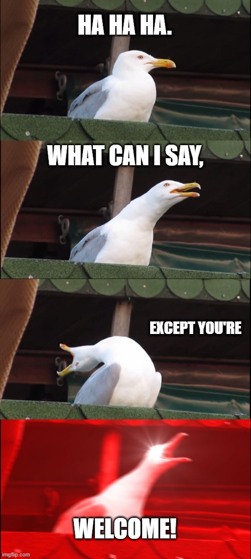 Inhaling Seagull Meme | HA HA HA. WHAT CAN I SAY, EXCEPT YOU'RE; WELCOME! | image tagged in memes,inhaling seagull | made w/ Imgflip meme maker