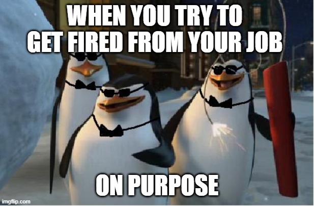 Madagascar Penguins | WHEN YOU TRY TO  GET FIRED FROM YOUR JOB; ON PURPOSE | image tagged in madagascar penguins | made w/ Imgflip meme maker