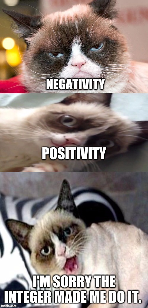 Interger | NEGATIVITY; POSITIVITY; I'M SORRY THE INTEGER MADE ME DO IT. | image tagged in bad pun grumpy cat | made w/ Imgflip meme maker