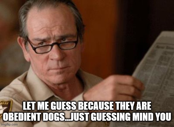 Tommy Lee Jones | LET ME GUESS BECAUSE THEY ARE OBEDIENT DOGS...JUST GUESSING MIND YOU | image tagged in tommy lee jones | made w/ Imgflip meme maker