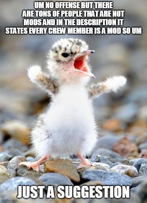 Complainer Bird | UM NO OFFENSE BUT THERE ARE TONS OF PEOPLE THAT ARE NOT MODS AND IN THE DESCRIPTION IT STATES EVERY CREW MEMBER IS A MOD SO UM; JUST A SUGGESTION | image tagged in complainer bird | made w/ Imgflip meme maker