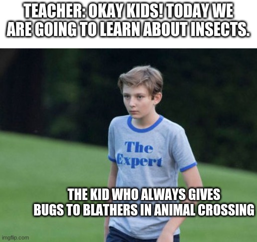 It be like that doe | TEACHER: OKAY KIDS! TODAY WE ARE GOING TO LEARN ABOUT INSECTS. THE KID WHO ALWAYS GIVES BUGS TO BLATHERS IN ANIMAL CROSSING | image tagged in the expert,animal crossing,school,new horizons | made w/ Imgflip meme maker