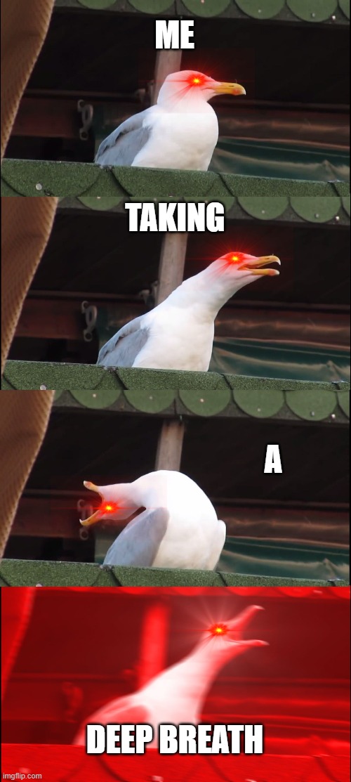 breathing | ME; TAKING; A; DEEP BREATH | image tagged in memes,inhaling seagull | made w/ Imgflip meme maker