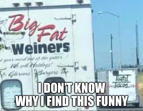 WTF | I DON’T KNOW WHY I FIND THIS FUNNY | image tagged in weird | made w/ Imgflip meme maker