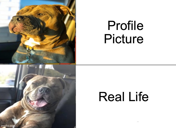 Looks Pretty Accurate | Profile Picture; Real Life | image tagged in memes,lynch1979,meme,lol | made w/ Imgflip meme maker