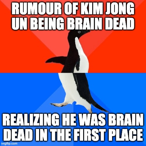 North Koreans right now | RUMOUR OF KIM JONG UN BEING BRAIN DEAD; REALIZING HE WAS BRAIN DEAD IN THE FIRST PLACE | image tagged in memes | made w/ Imgflip meme maker