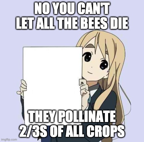 We Need More Bees | NO YOU CAN'T LET ALL THE BEES DIE; THEY POLLINATE 2/3S OF ALL CROPS | image tagged in mugi sign template | made w/ Imgflip meme maker