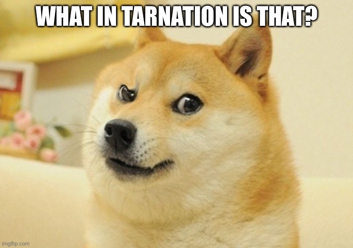 Inquisitive Doge | WHAT IN TARNATION IS THAT? | image tagged in inquisitive doge | made w/ Imgflip meme maker