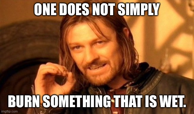 One Does Not Simply Meme | ONE DOES NOT SIMPLY BURN SOMETHING THAT IS WET. | image tagged in memes,one does not simply | made w/ Imgflip meme maker