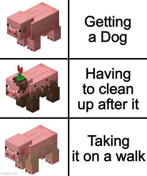 Blank template | Getting a Dog; Having to clean up after it; Taking it on a walk | image tagged in blank template | made w/ Imgflip meme maker