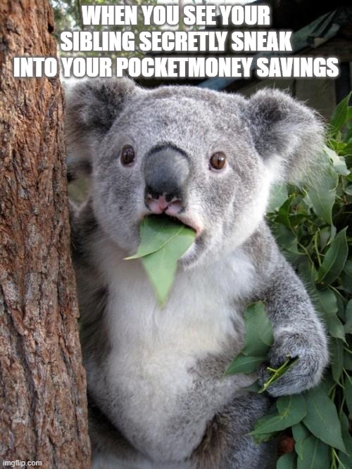 Surprised Koala | WHEN YOU SEE YOUR SIBLING SECRETLY SNEAK INTO YOUR POCKETMONEY SAVINGS | image tagged in memes,surprised koala | made w/ Imgflip meme maker