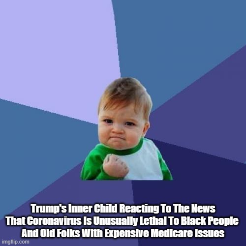 Success Kid Meme | Trump's Inner Child Reacting To The News That Coronavirus Is Unusually Lethal To Black People 
And Old Folks With Expensive Medicare Issues | image tagged in memes,success kid | made w/ Imgflip meme maker