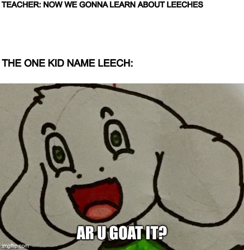 Oh wow!!!! | TEACHER: NOW WE GONNA LEARN ABOUT LEECHES; THE ONE KID NAME LEECH: | image tagged in memes,funny memes,asriel,funny,wut | made w/ Imgflip meme maker