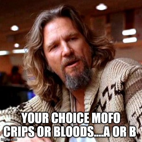 Confused Lebowski Meme | YOUR CHOICE MOFO CRIPS OR BLOODS....A OR B | image tagged in memes,confused lebowski | made w/ Imgflip meme maker