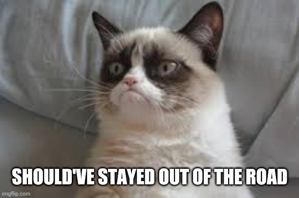 Grumpy cat | SHOULD'VE STAYED OUT OF THE ROAD | image tagged in grumpy cat | made w/ Imgflip meme maker