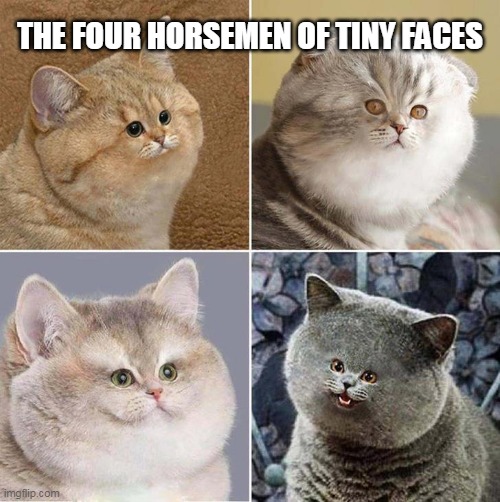 The Four Horsemen Of Tiny Faces | THE FOUR HORSEMEN OF TINY FACES | image tagged in tiny,cats,horsemen | made w/ Imgflip meme maker