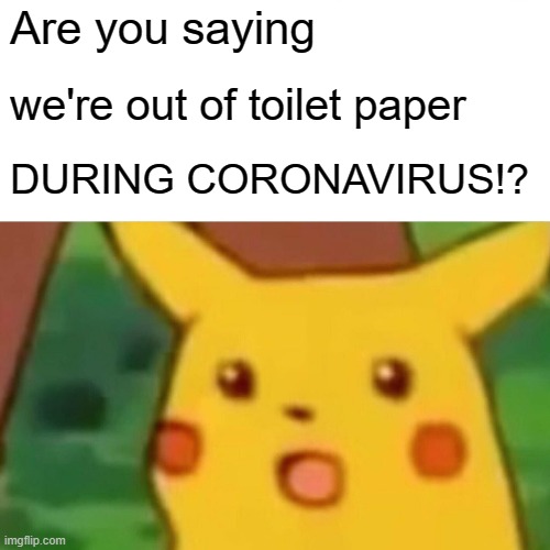 Surprised Pikachu | Are you saying; we're out of toilet paper; DURING CORONAVIRUS!? | image tagged in memes,surprised pikachu | made w/ Imgflip meme maker