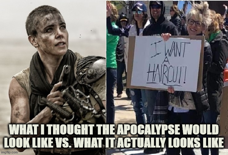 Coronavirus Apocalypse Haircut | WHAT I THOUGHT THE APOCALYPSE WOULD LOOK LIKE VS. WHAT IT ACTUALLY LOOKS LIKE | image tagged in coronavirus,corona virus,covid19,covid 19,protest,protestors | made w/ Imgflip meme maker