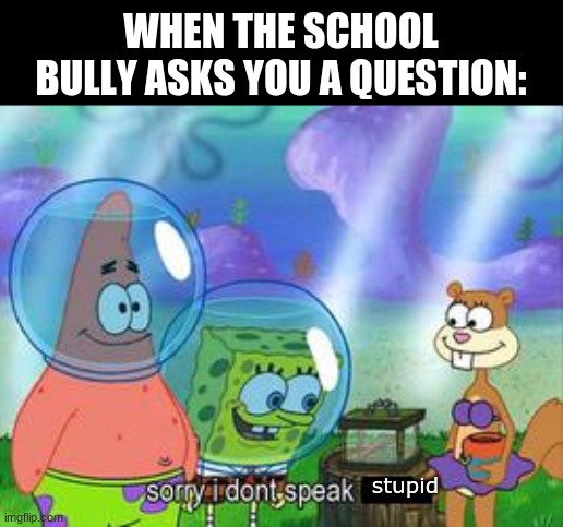 Bruh | WHEN THE SCHOOL BULLY ASKS YOU A QUESTION:; stupid | image tagged in sorry i don't speak ____ | made w/ Imgflip meme maker