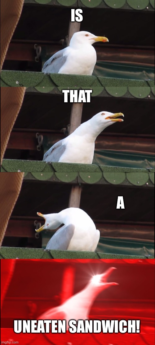 It is buddy | IS; THAT; A; UNEATEN SANDWICH! | image tagged in memes,inhaling seagull,sandwhich | made w/ Imgflip meme maker