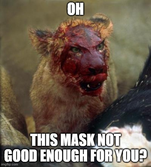 mask life | OH; THIS MASK NOT GOOD ENOUGH FOR YOU? | image tagged in mask,lion | made w/ Imgflip meme maker