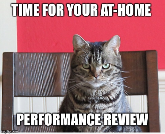 At-home performance review | TIME FOR YOUR AT-HOME; PERFORMANCE REVIEW | image tagged in work from home | made w/ Imgflip meme maker