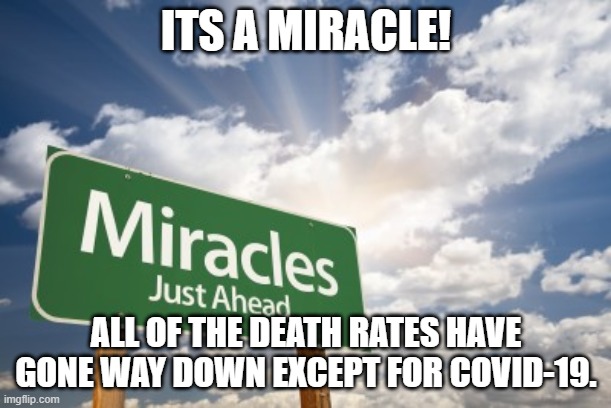 Miracle low death rates | ITS A MIRACLE! ALL OF THE DEATH RATES HAVE GONE WAY DOWN EXCEPT FOR COVID-19. | image tagged in miracles | made w/ Imgflip meme maker