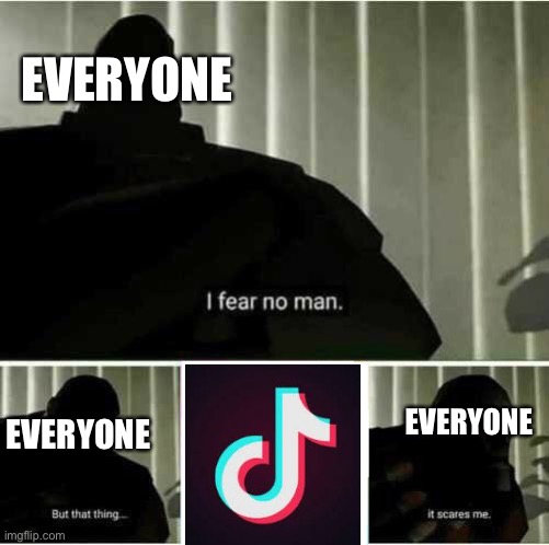 Everyone |  EVERYONE; EVERYONE; EVERYONE | image tagged in i fear no man,funny memes | made w/ Imgflip meme maker