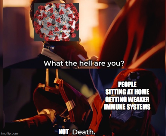 Is this quarantine really helping? Covid 19 has a 98% recovery rate | PEOPLE SITTING AT HOME GETTING WEAKER IMMUNE SYSTEMS; NOT | image tagged in what the hell are you death,covid-19,lockdown | made w/ Imgflip meme maker