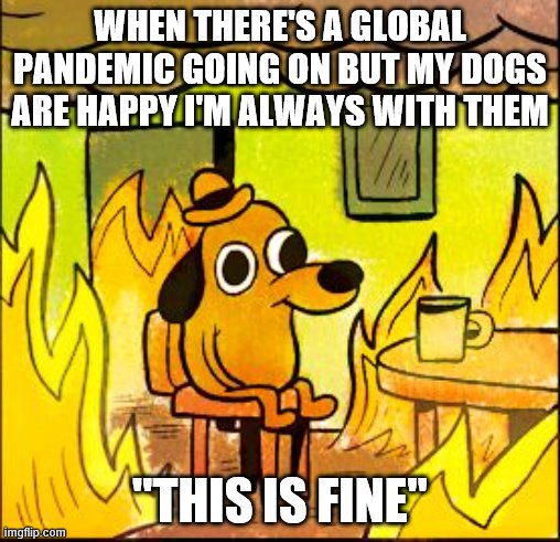 This is fine | WHEN THERE'S A GLOBAL PANDEMIC GOING ON BUT MY DOGS ARE HAPPY I'M ALWAYS WITH THEM; "THIS IS FINE" | image tagged in this is fine | made w/ Imgflip meme maker