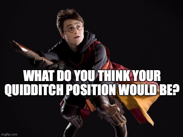 Could be seeker, keeper, beater, chaser, fan, announcer, nurse, referee, or even one of the balls! | WHAT DO YOU THINK YOUR QUIDDITCH POSITION WOULD BE? | image tagged in flying quidditch potter | made w/ Imgflip meme maker