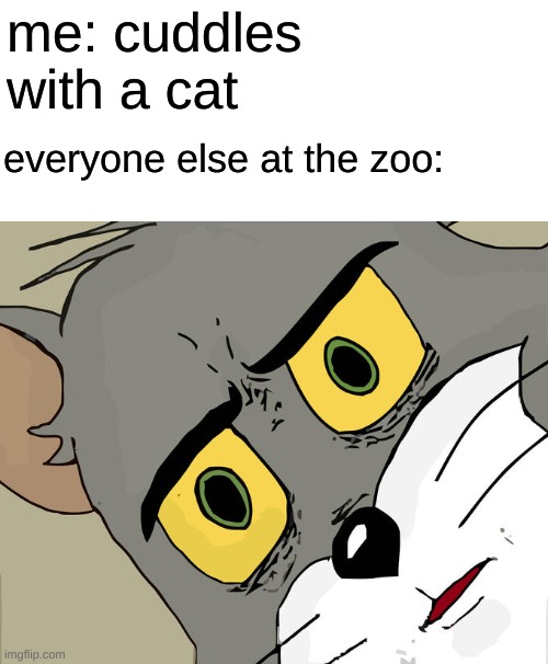 Unsettled Tom | me: cuddles with a cat; everyone else at the zoo: | image tagged in memes,unsettled tom,cats | made w/ Imgflip meme maker