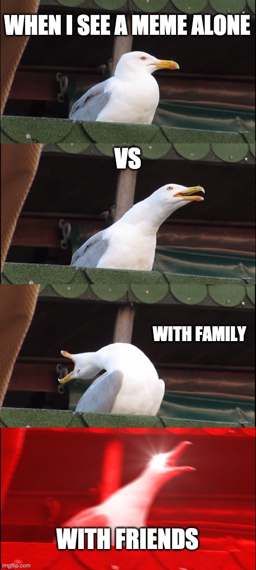 Inhaling Seagull | WHEN I SEE A MEME ALONE; VS; WITH FAMILY; WITH FRIENDS | image tagged in memes,inhaling seagull | made w/ Imgflip meme maker